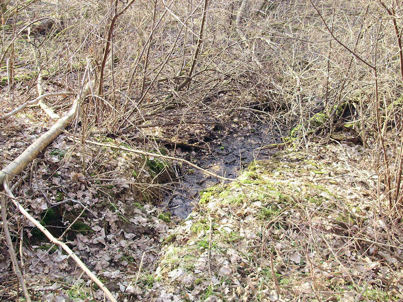 pramen U Svaté (2835) - březen 2010