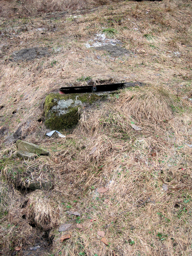 pramen U Gírové (2842) - březen 2010