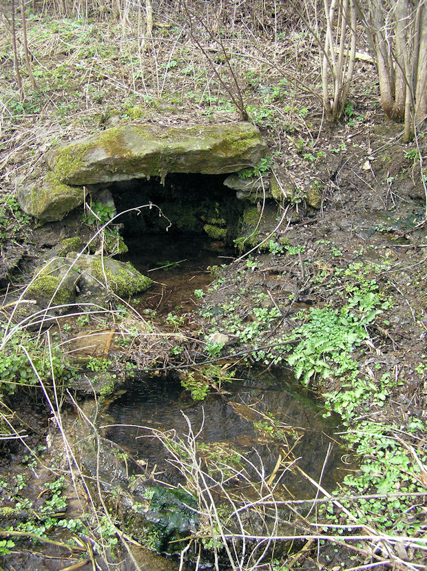 studánka Břendouc (2863) - duben 2010