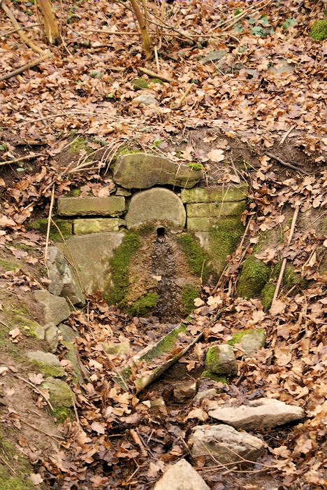 pramen Studánka v Kytlině (2866) - duben 2010