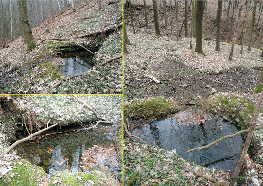 pramen Nad roklí (2877) - duben 2010
