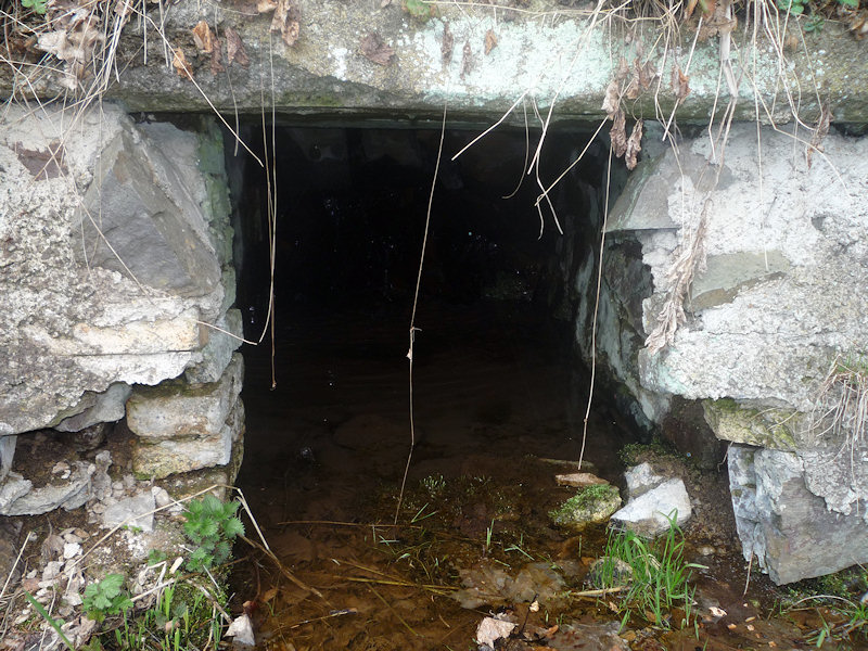 studánka Druhý Mlýn (2880) - duben 2010