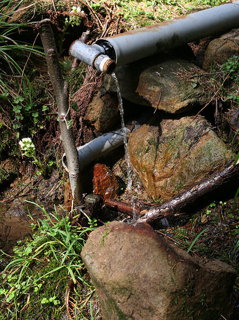 jiný vodní zdroj V Račném (2889) - duben 2010