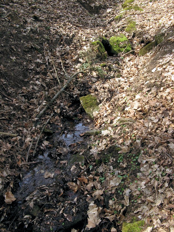 studánka Potoky (2893) - duben 2010