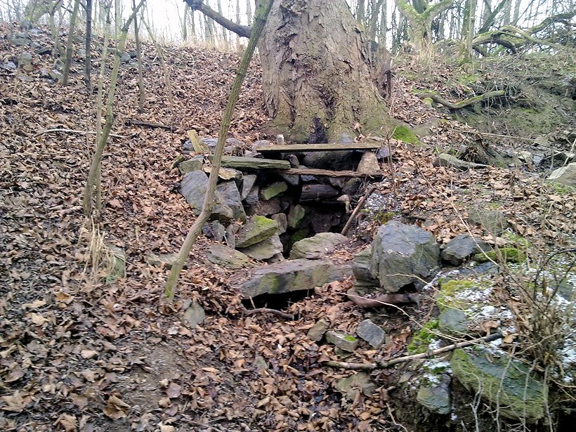 studánka Pod javorem (2903) - duben 2010