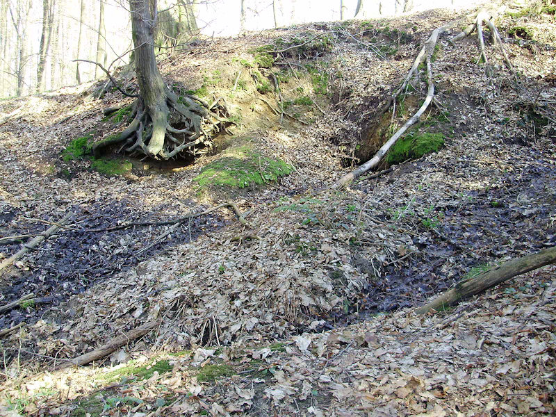 prameniště U Trati (2904) - duben 2010