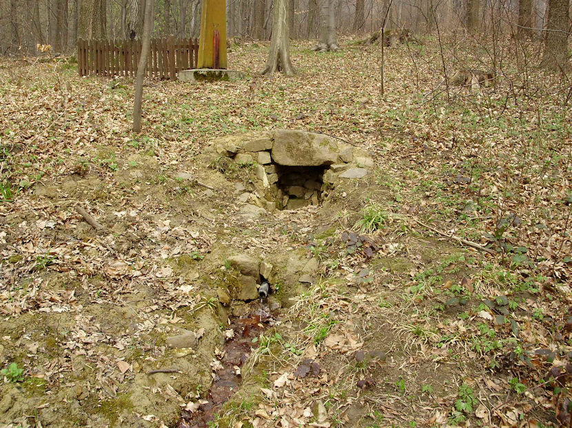studánka U Ivana (2933) - duben 2010