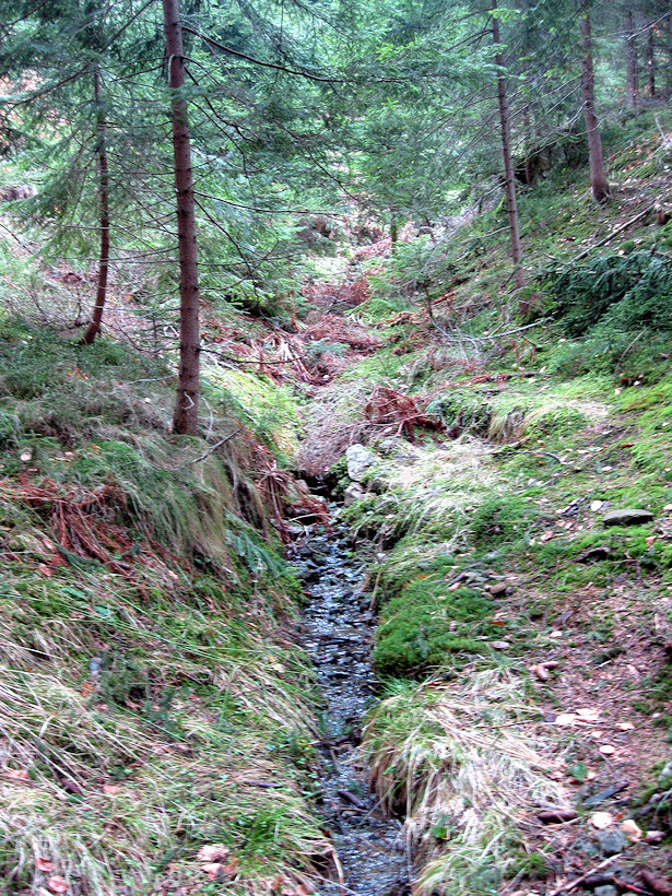 prameniště Podgruň (2961) - duben 2010