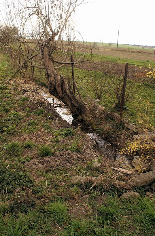 studánka Pod vrbou (2967) - duben 2010