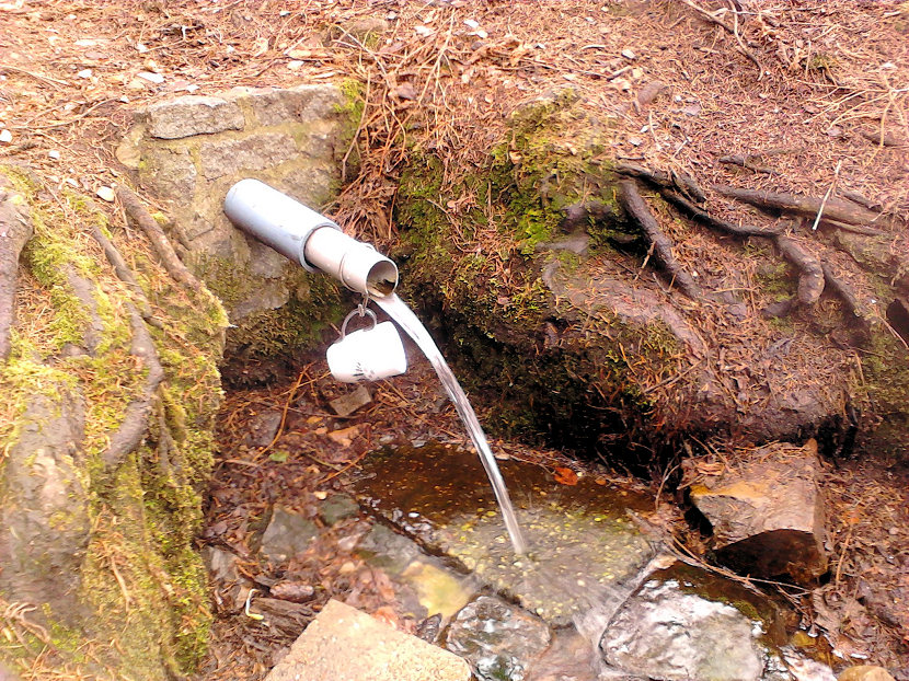 studánka Na Lhůtě (2977) - červen 2012