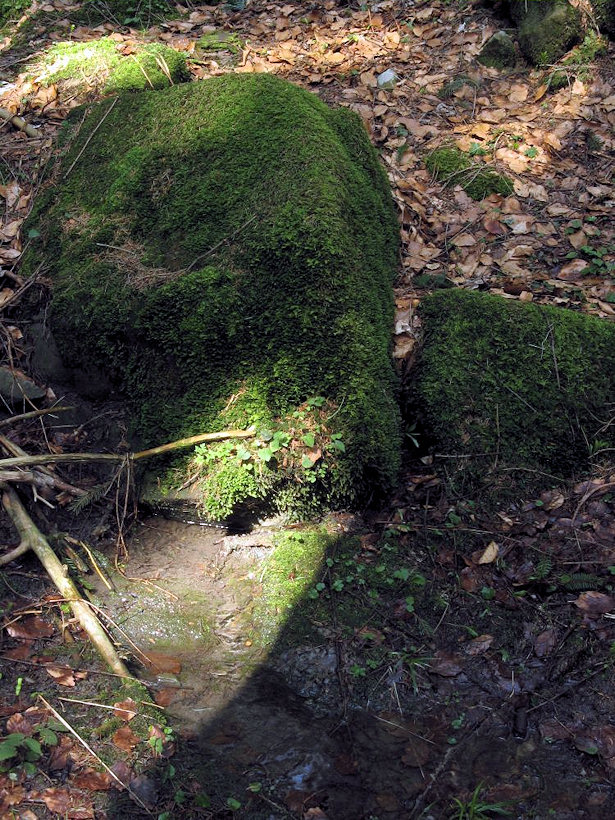 pramen Nad Jezerným (2990) - duben 2010