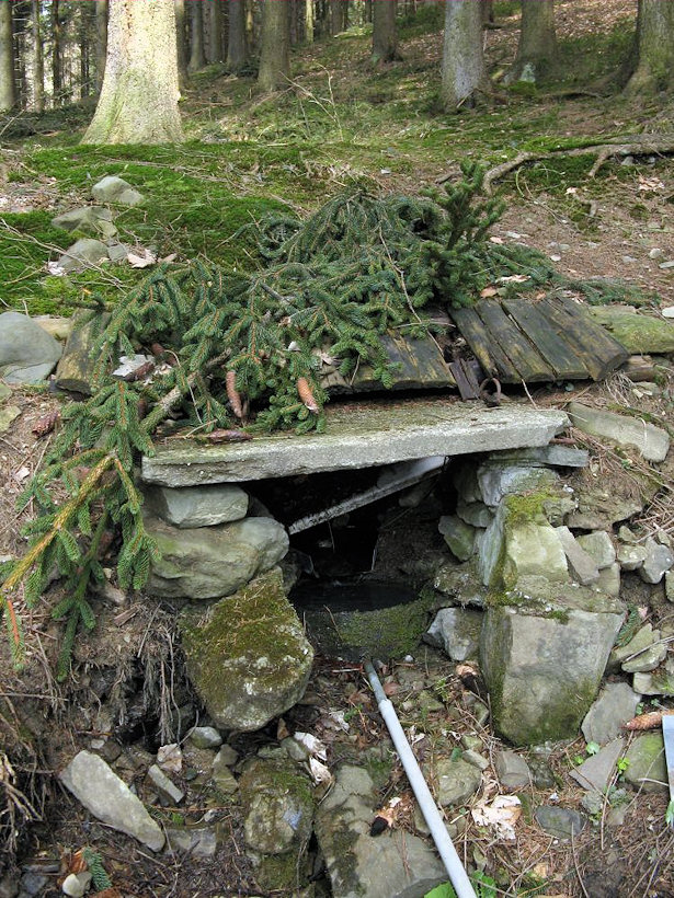 studánka bez jména (2991) - duben 2010