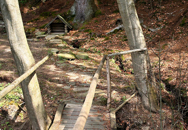 studánka U Jezerního potoka (3006) - duben 2010