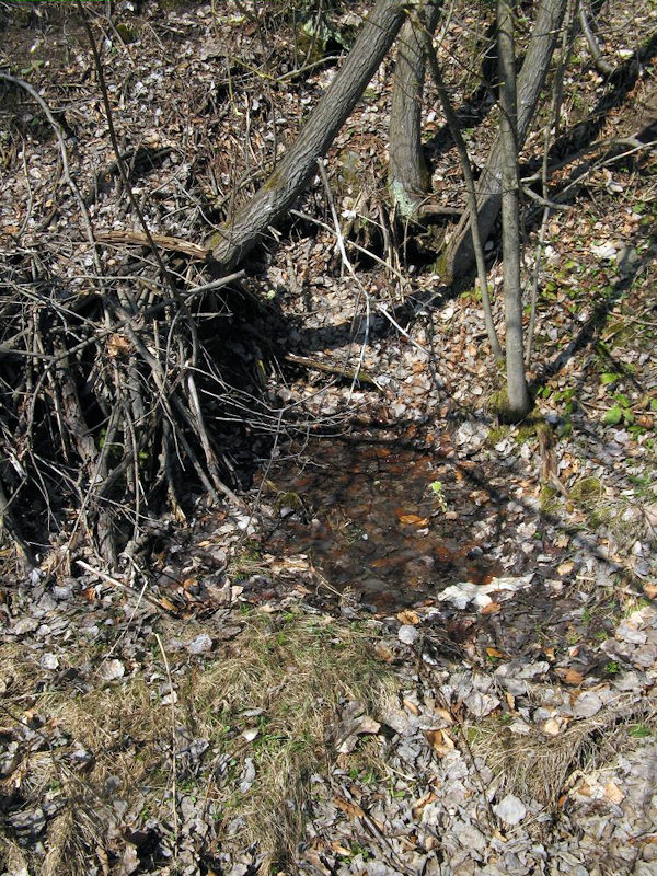 pramen bez jména (3010) - duben 2010