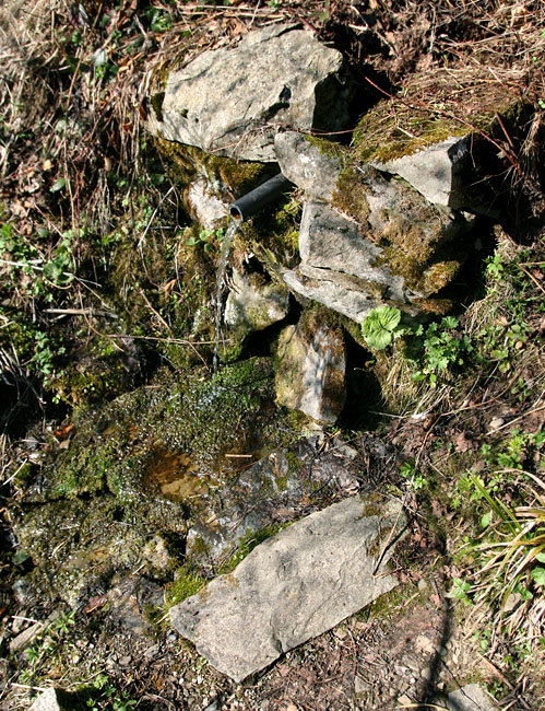 studánka Pod Bařinkou (3012) - duben 2010