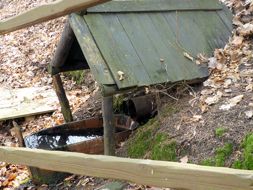 studánka Na stráni (3023) - duben 2010