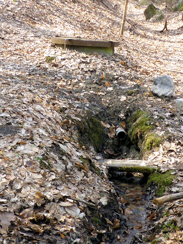 Slavíkovo studánka (3024) - duben 2010