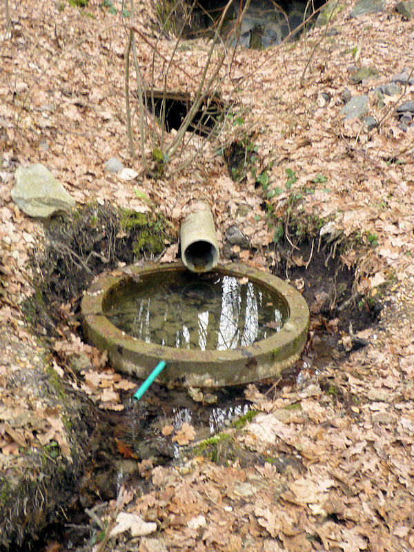 studánka Pod peřejemi (3029) - duben 2010