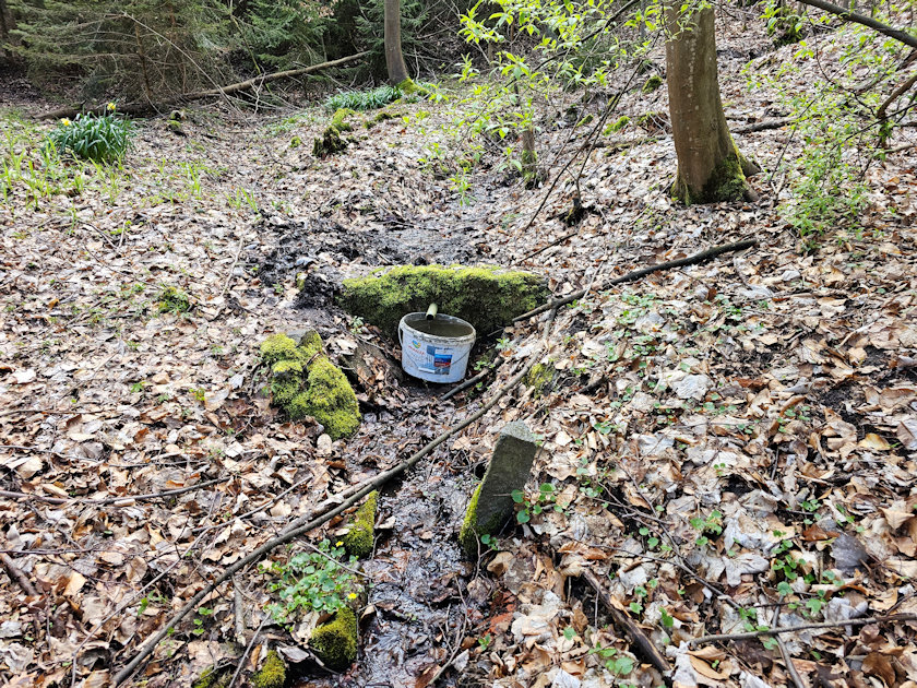 studánka Štěnkovská (3030) - duben 2023