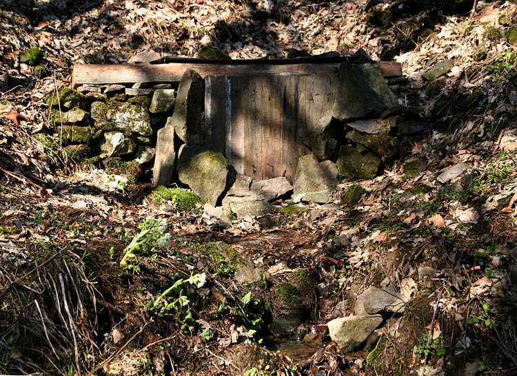 studánka Pod Gigulou (3033) - duben 2010