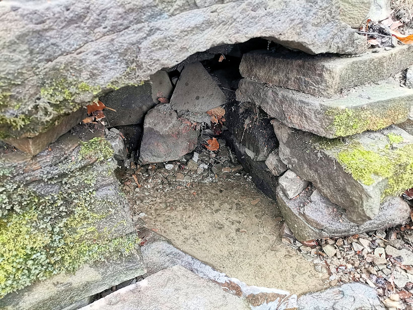 studánka Pod Huštýnem (3036) - duben 2022