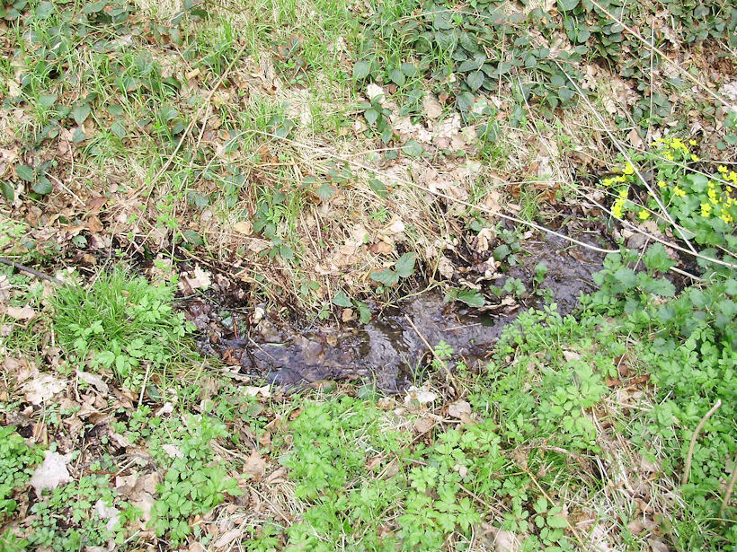 pramen Pod Vojenským (3047) - duben 2010