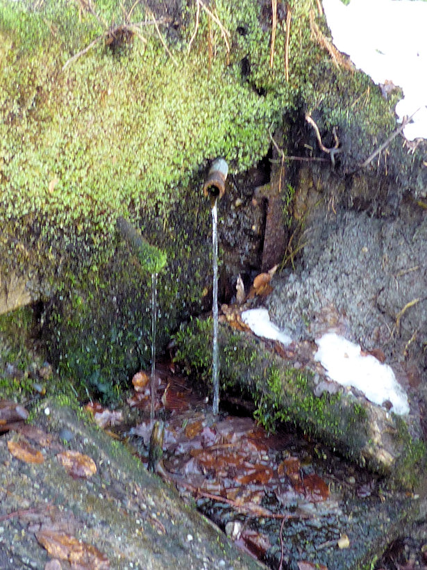 studánka Trampská (3059) - duben 2010