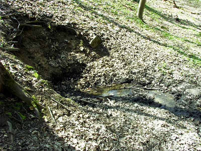 prameniště bez jména (3072) - duben 2010