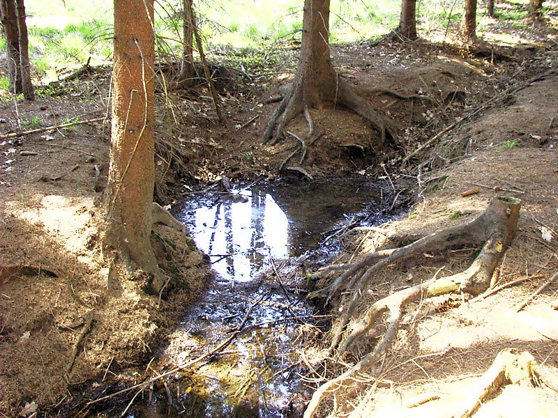 prameniště bez jména (3073) - duben 2010
