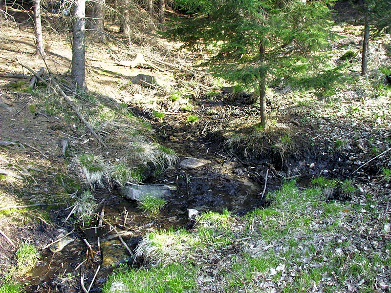 pramen bez jména (3076) - duben 2010