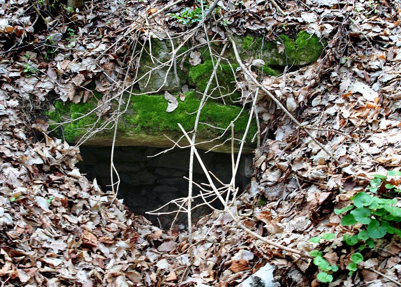 studánka U Gruberova mlýna (3085) - duben 2010
