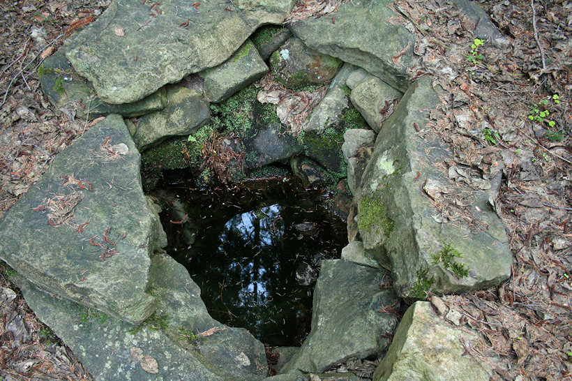 Studánka lesního muže 1 (3092) - duben 2010
