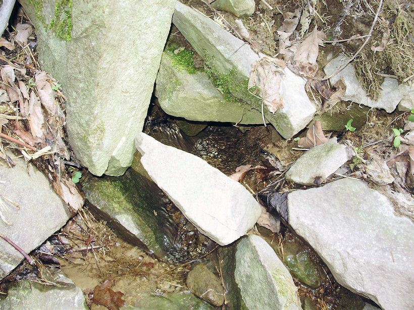 pramen U Zídky (3101) - duben 2010
