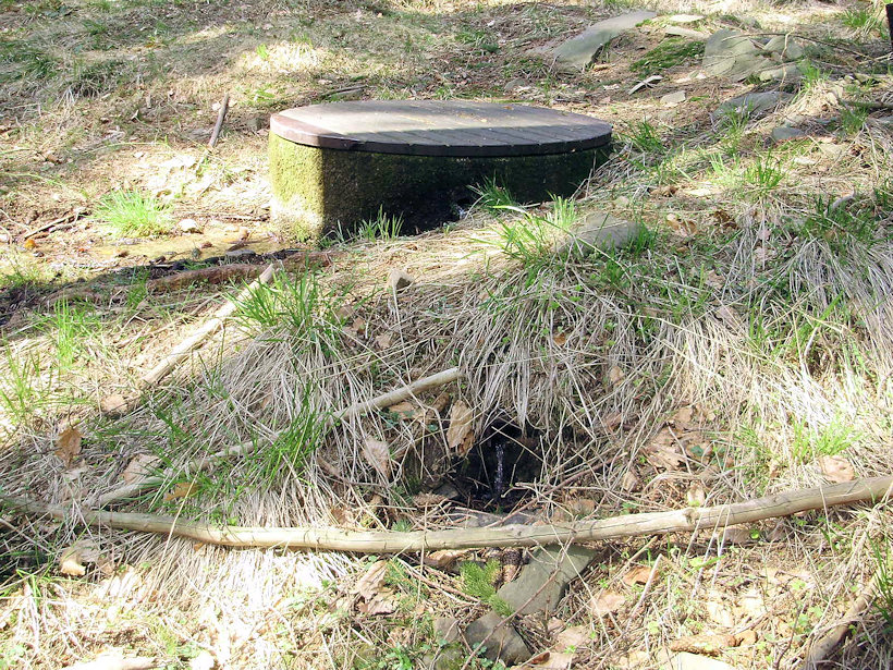 studánka bez jména (3103) - duben 2010