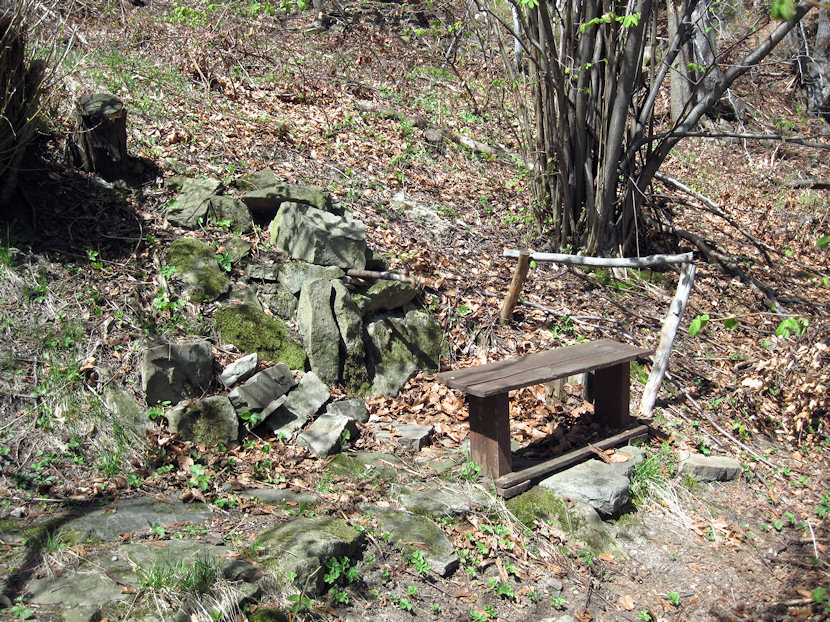 studánka U Boháčů (3110) - duben 2010