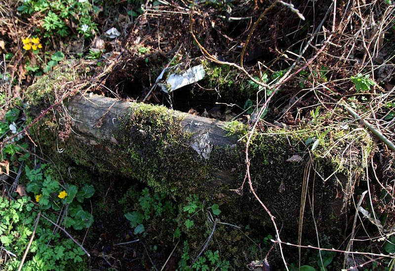 studánka V Tísňavách (3121) - květen 2010