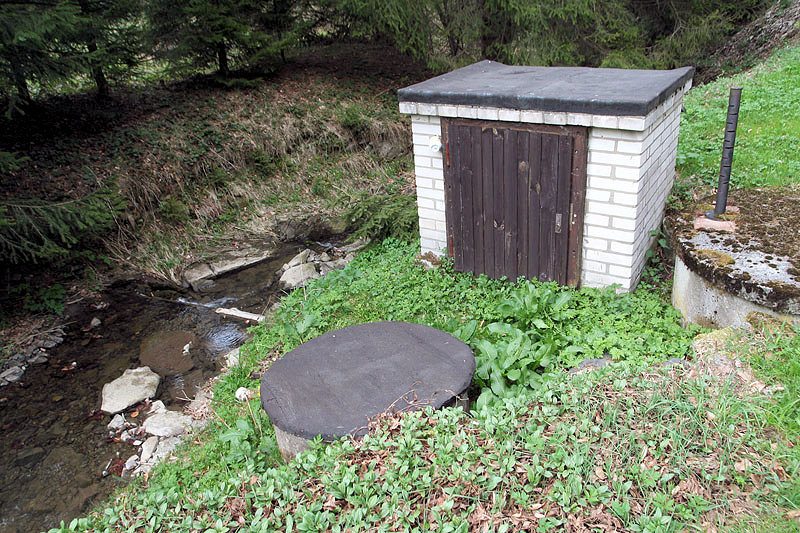 studánka U Hlubokého potoka (3122) - květen 2010