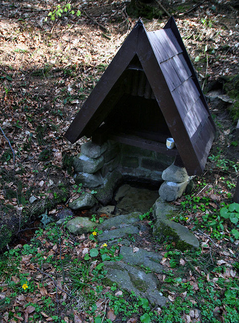 studánka V Dolině (3123) - květen 2010