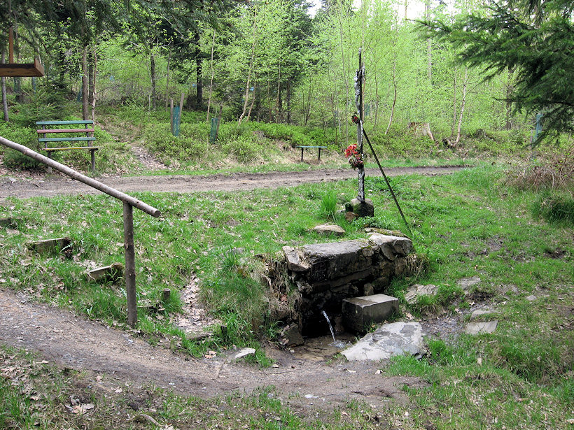 studánka U Mrhalu (3127) - květen 2010