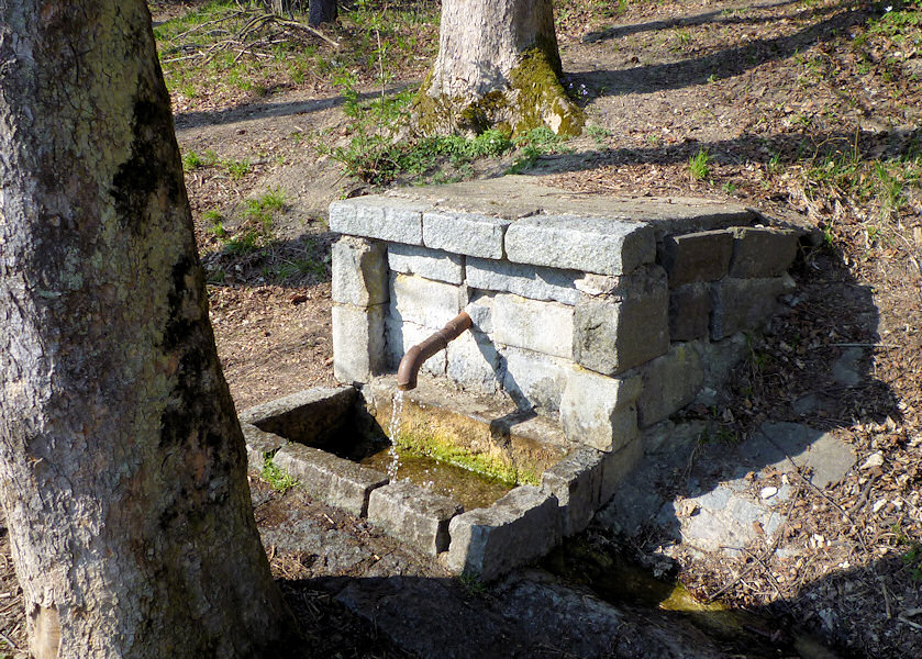 studánka U koupaliště (3128) - květen 2010