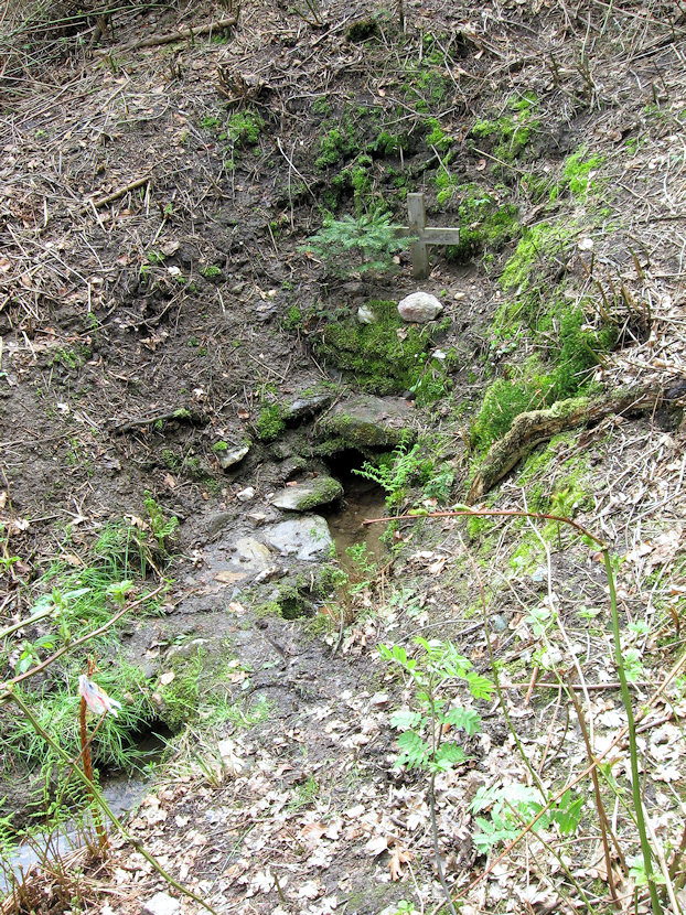 studánka České Švýcarsko (3131) - květen 2010
