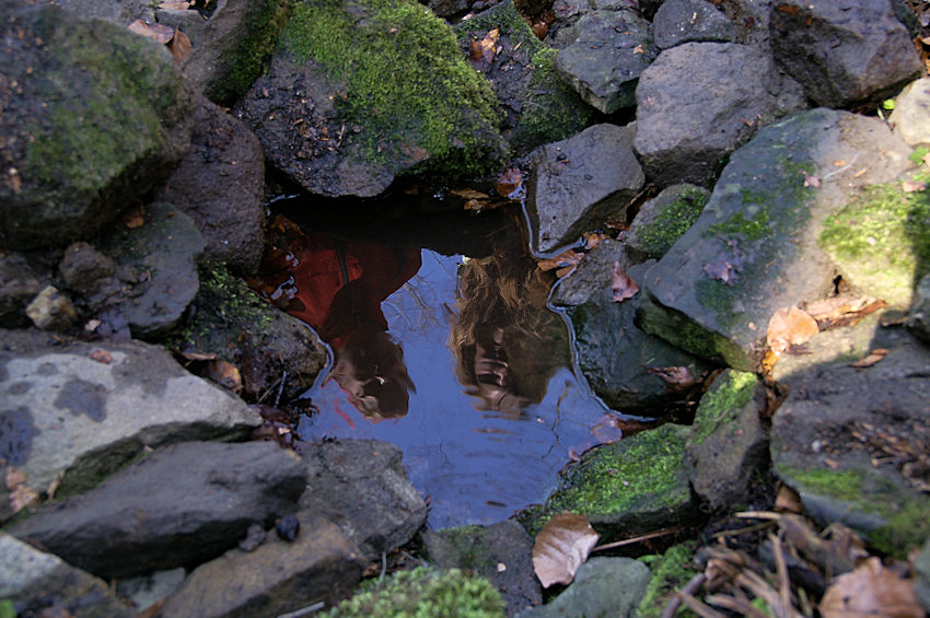 pramen Žabí studánka (3132) - květen 2010