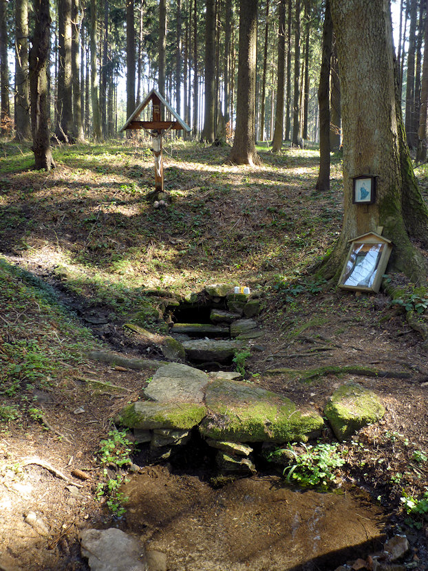 studánka Pod Zámečkem (3151) - květen 2010
