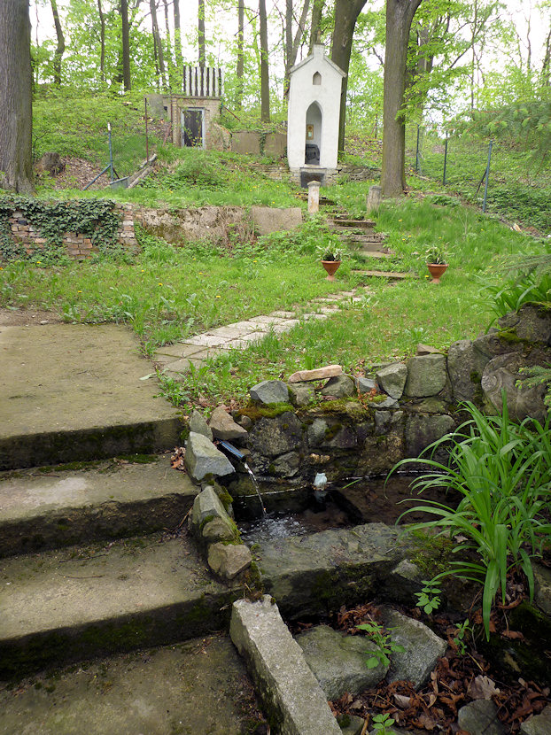 studánka Javůrka (3152) - květen 2010