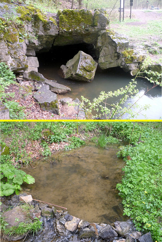 vyvěračka vývěry Jedovnického potoka (3156) - květen 2010
