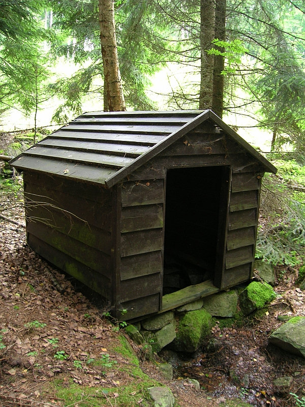 Studánka u Kuchyňky (3162) - květen 2010