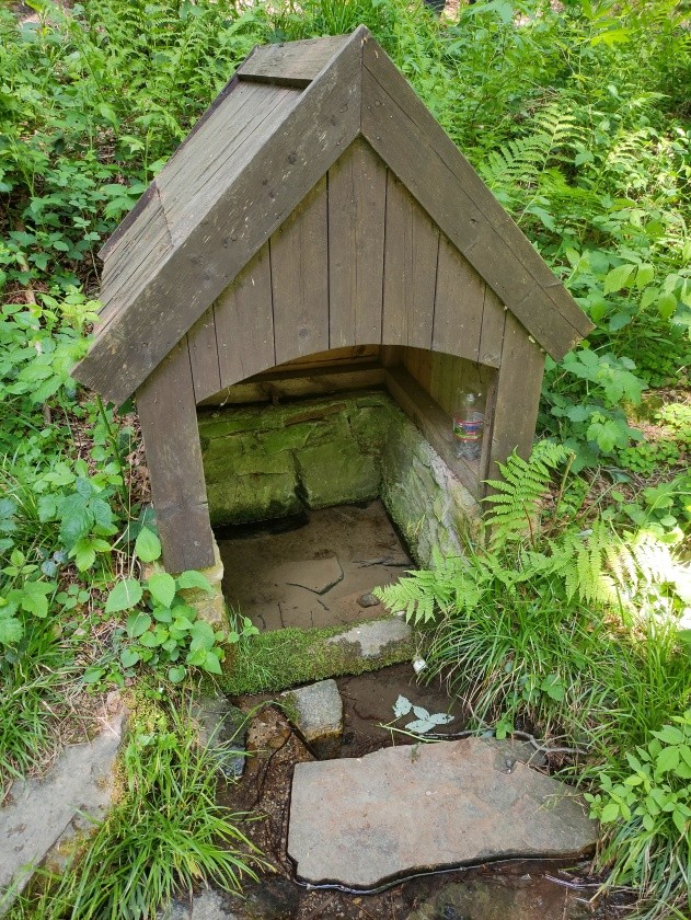studánka Bílý kámen (3163) - květen 2023