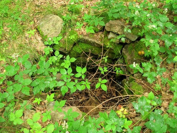 studánka Džbelka (3168) - květen 2010