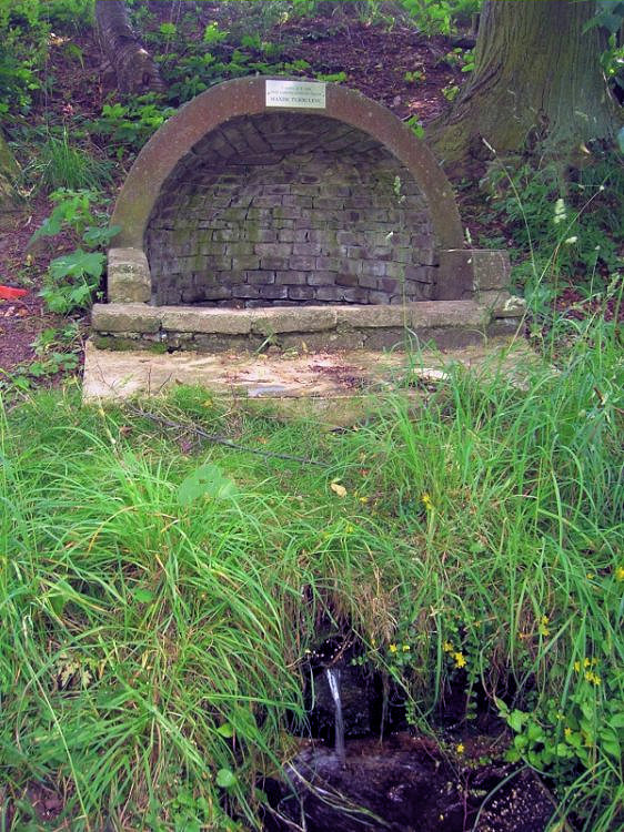 studánka Pod Křešínem (3169) - květen 2010