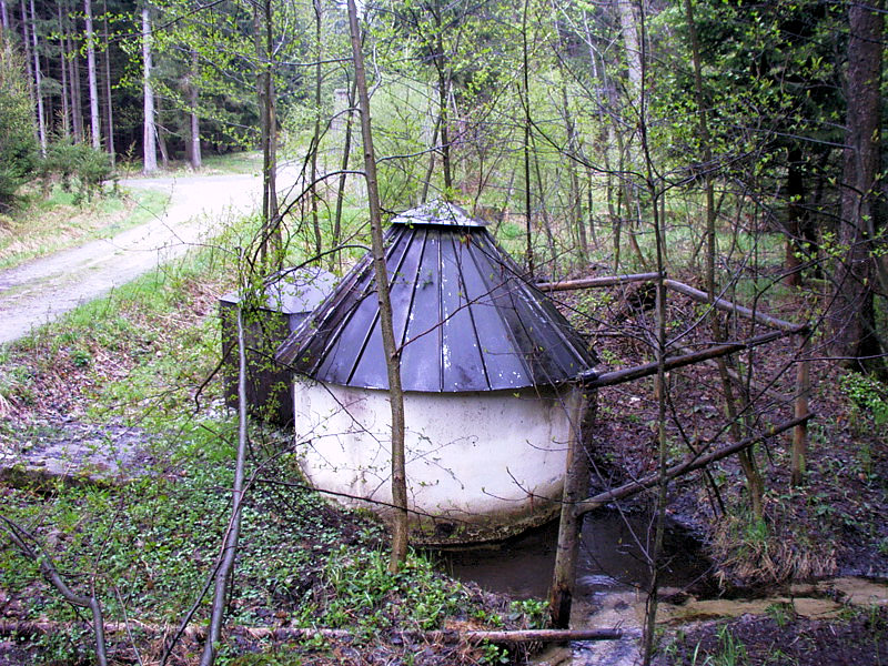 studánka bez jména (3195) - květen 2010